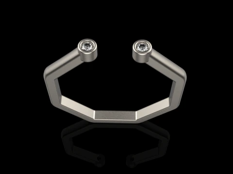 Octagon form ring model 641 3D Print Model
