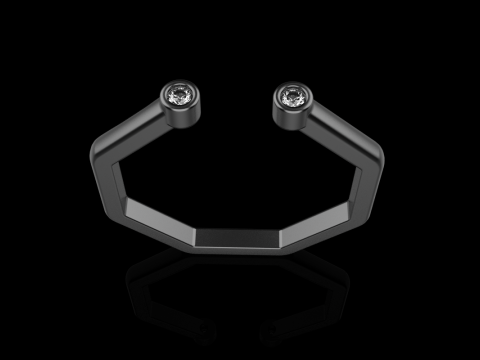 Octagon form ring model 641 3D Print Model