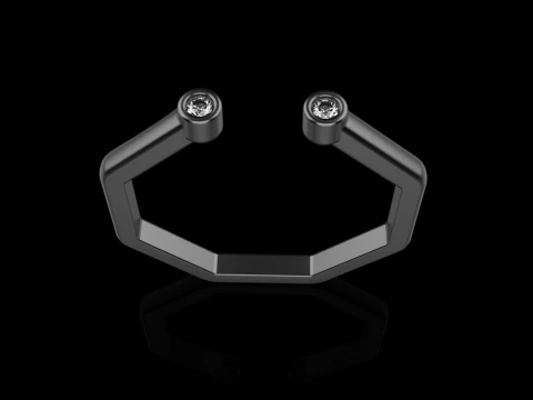 Octagon form ring model 641 3D Print Model