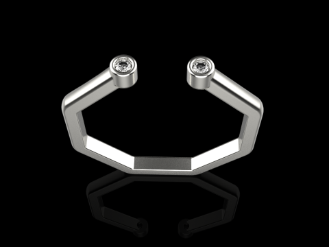 Octagon form ring model 641 3D Print Model