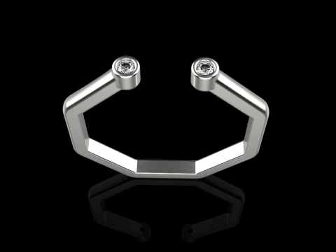 Octagon form ring model 641 3D Print Model