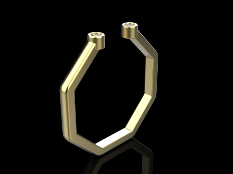 Octagon form ring model 641 3D Print Model