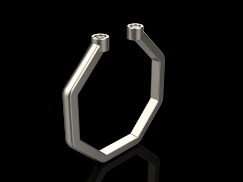 Octagon form ring model 641 3D Print Model