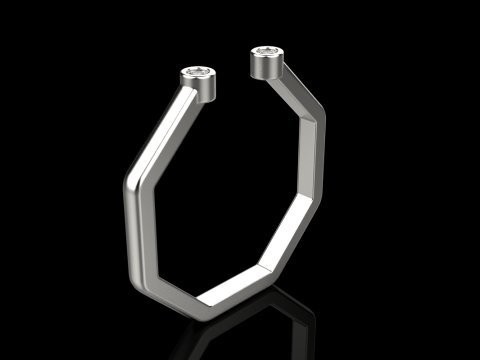 Octagon form ring model 641 3D Print Model