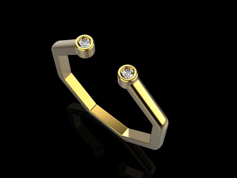 Octagon form ring model 641 3D Print Model