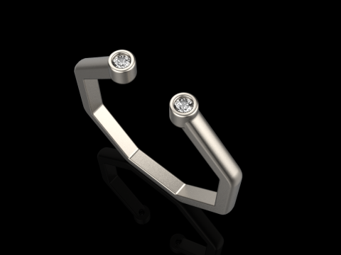 Octagon form ring model 641 3D Print Model