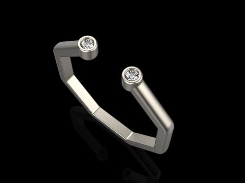 Octagon form ring model 641 3D Print Model
