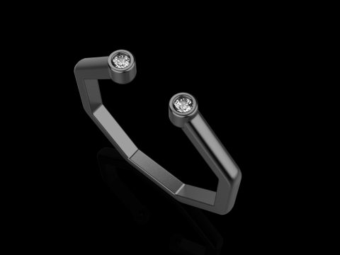 Octagon form ring model 641 3D Print Model