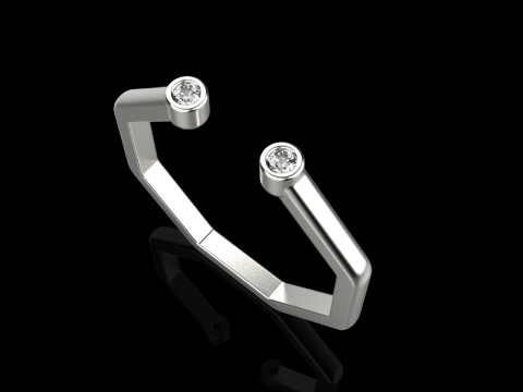 Octagon form ring model 641 3D Print Model