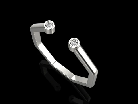 Octagon form ring model 641 3D Print Model