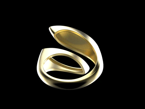Double marquise form ring model 627 3D Print Model