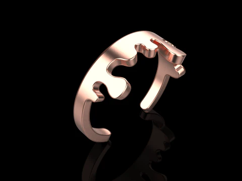 Melting form ring model 624 3D Print Model