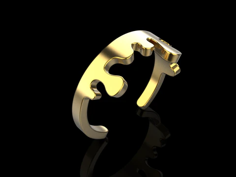 Melting form ring model 624 3D Print Model