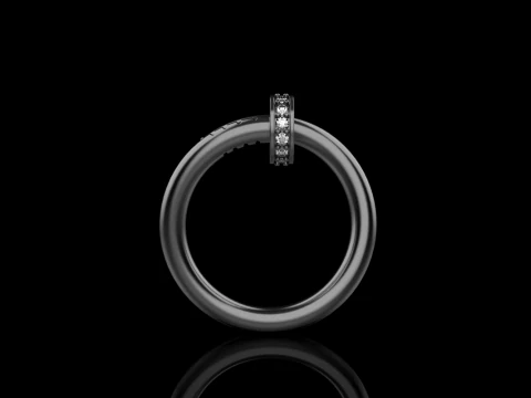 Wedding ring model 617 3D Print Model