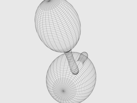マラカス 3Dモデル