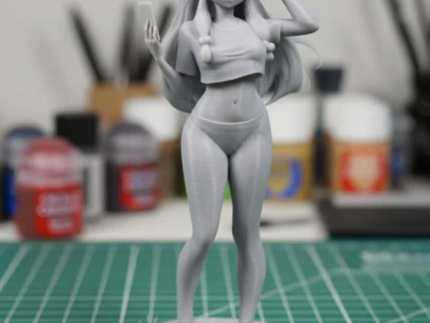 Shampoo - Ranma Split in 3 Parts 3D Print Model