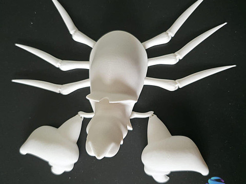 Flexi Sebastian - 美人鱼铰接式预支撑 STL 3D 打印模型