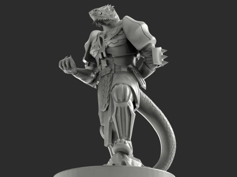 寻星者 3D 打印模型