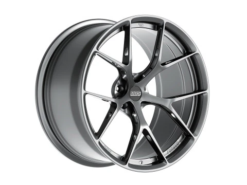 BBS FIR 3D Model