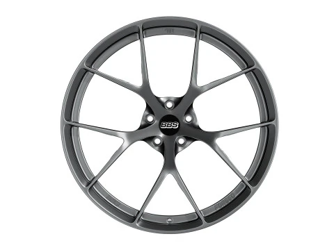 BBS FIR 3D Model
