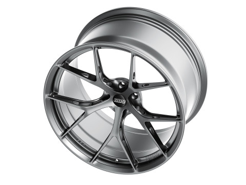 BBS FIR 3D Model