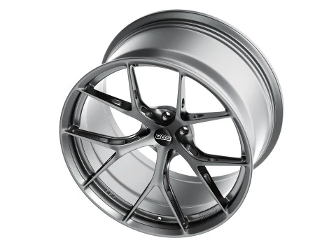 BBS FIR 3D Model