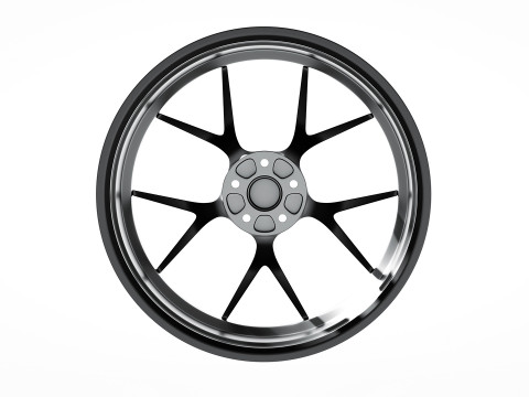 BBS FIR 3D Model