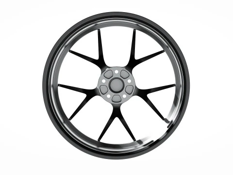 BBS FIR 3D Model