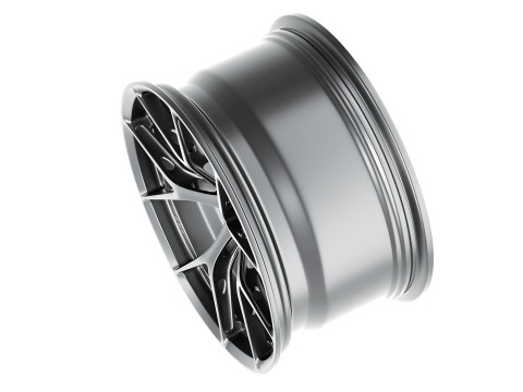 BBS FIR 3D Model