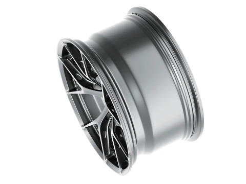 BBS FIR 3D Model