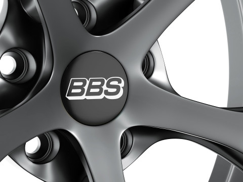 BBS FIR 3D Model