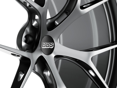 BBS FIR 3D Model