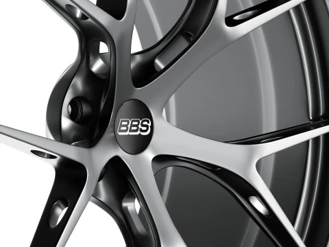 BBS FIR 3D Model