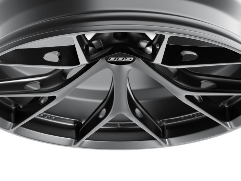 BBS FIR 3D Model