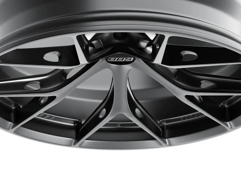 BBS FIR 3D Model