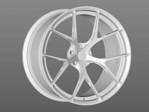 BBS FIR 3D Model