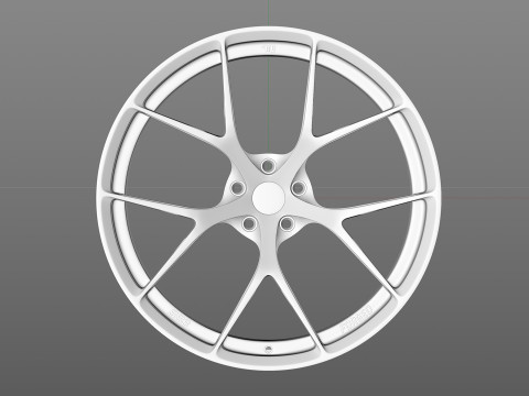 BBS FIR 3D Model