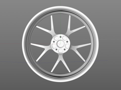 BBS FIR 3D Model