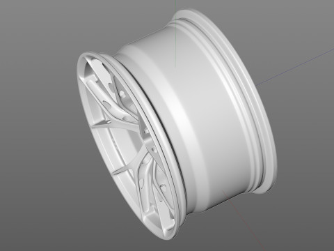 BBS FIR 3D Model