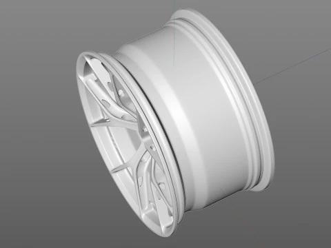 BBS FIR 3D Model