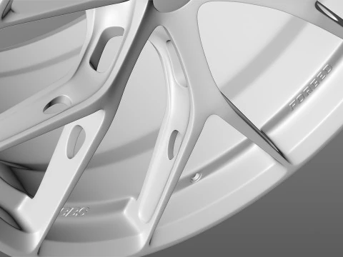 BBS FIR 3D Model
