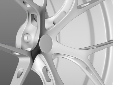 BBS FIR 3D Model