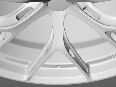 BBS FIR 3D Model