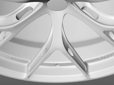 BBS FIR 3D Model