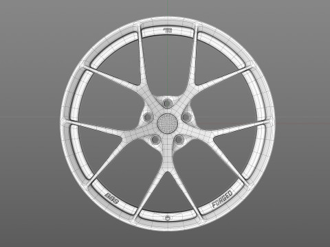BBS FIR 3D Model