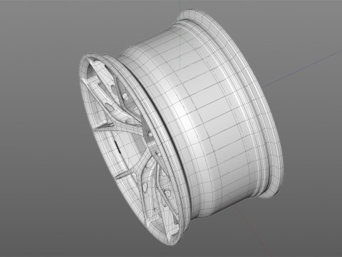 BBS FIR 3D Model