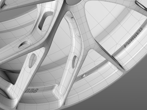 BBS FIR 3D Model