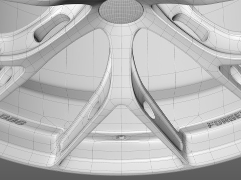 BBS FIR 3D Model