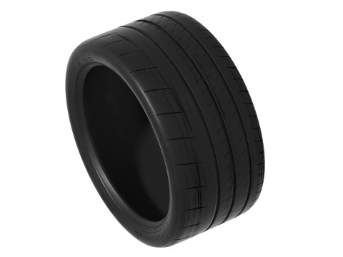 PILOT SPORT CUP 3D Model