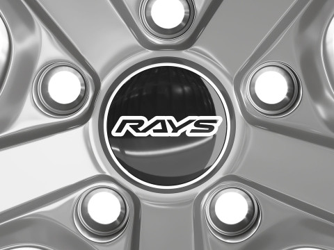 RAYS 2x5FT 3D 模型